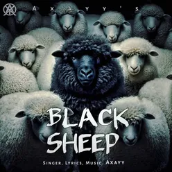 Black Sheep